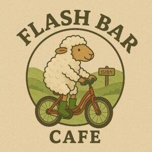 Flash Bar Cafe And Stores Logo