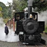 Welshpool And Llanfair Light Railway Tea Room Logo