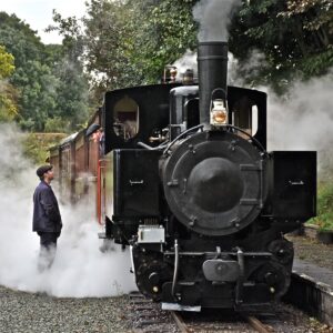 Welshpool And Llanfair Light Railway Tea Room Logo