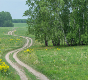 Green Laning Motorcycling UK