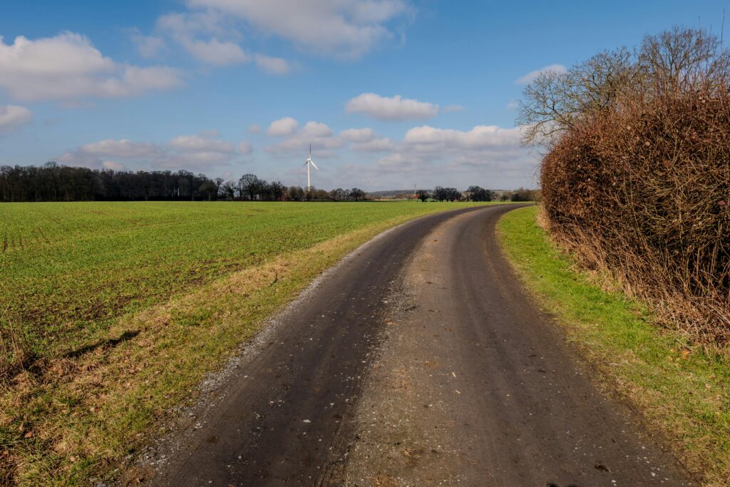 Pexels Strannik Sk 31033096