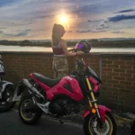 Mouse_the_grom