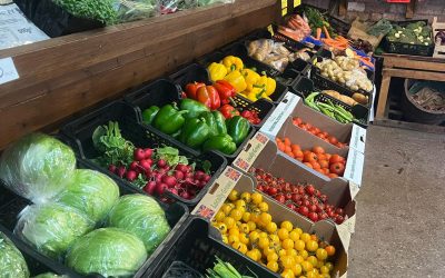 Diglake Farm Shop Display