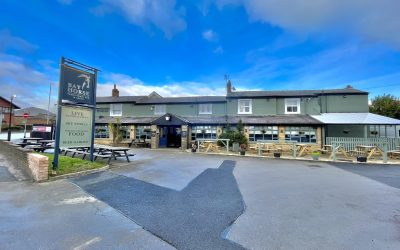 The Bay Horse From Outside