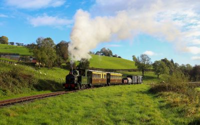 Welshpool And Llanfair Light Railway Tea Room Train Track