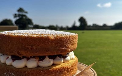 Berries Cake outside