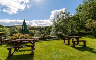 Owner George Borrow Hotel 2