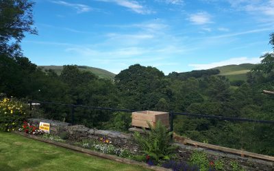 Owner George Borrow Hotel 3