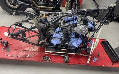 Owner Limitless Customs Ltd 4