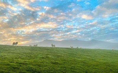 Owner Motocamp Wales 1