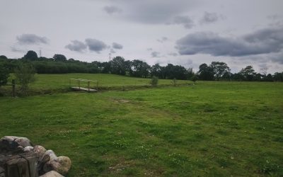 Owner New Inn Camping 2 1