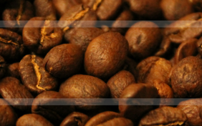 Owner Northern Edge Coffee 2