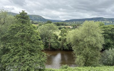 Owner Roadhouse Llanwenarth Limited 1