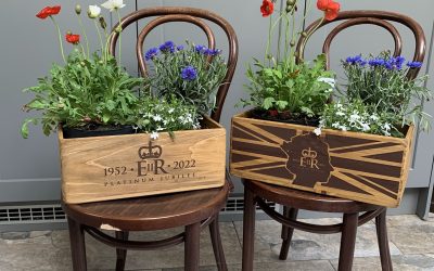 Ruby Cooper’s Coffee House Table and Flowers