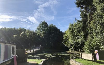 Owner The Boat Yard 3