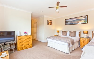 Owner The Glen Guest House 2