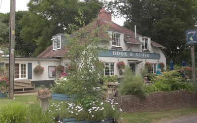 Owner The Hook And Glove 1