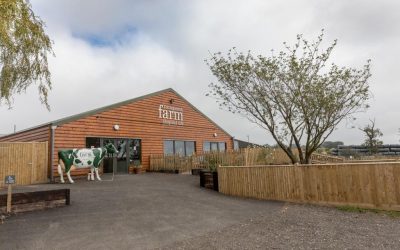 Owner Tottingworth Farm Shop And Cafe 2