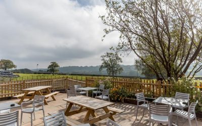 Owner Tottingworth Farm Shop And Cafe 3