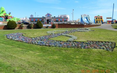 Joyland American Family Diner from outside