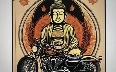 Owner Zen Motorcycle Training Ltd 4 1