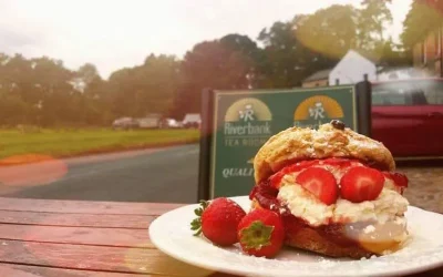 Riverbank Tearooms 3