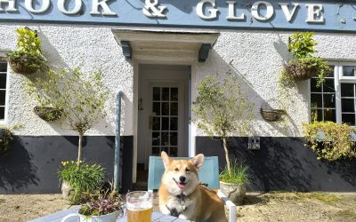 The Hook And Glove 1