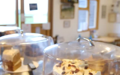 The View Coffee Shop